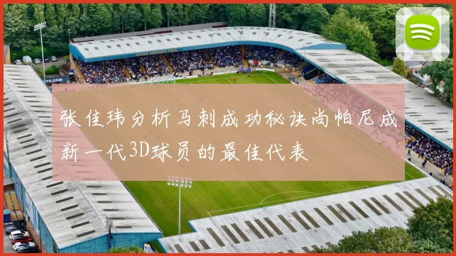 张佳玮分析马刺成功秘诀尚帕尼成新一代3D球员的最佳代表