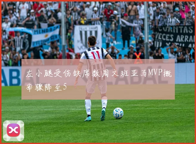 左小腿受伤缺席数周文班亚马MVP概率骤降至5